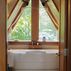 Cabin Suite 2 Not Pet Friendly